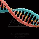 Colorful 3D render of a DNA double helix with red and teal strands and colored base pairs — 8K royalty-free microscopic stock photo