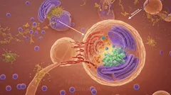Colorful illustration of a eukaryotic cell’s interior, showing mitochondria, membranous organelles, vesicles, and surrounding particles — 8K royalty-free microscopic stock photo