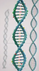A 3D teal DNA double helix model with colorful base pairs, set against a pale background — 8K royalty-free microscopic stock photo