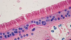 Intricate look at biological structures at a cellular level. Captured with advanced microscopic imaging technology — 8K royalty-free microscopic stock photo