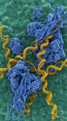 Colorized electron micrograph of a cellular membrane with large blue protein complexes and yellow cytoskeletal filaments — 8K royalty-free microscopic stock photo