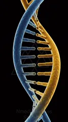 DNA double helix in blue and gold against a black background — 8K royalty-free microscopic stock photo