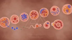 Colorful illustration of cellular elements during fertilization, showing sperm approaching an egg and early embryo development — 8K royalty-free microscopic stock photo