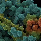 Vivid 3D rendering of colorful cellular clusters in teal, blue, green, yellow, and orange — 8K royalty-free microscopic stock photo