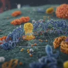 Colorful 3D render of a cell membrane scene with a yellow receptor and blue protein channels embedded in a lipid bilayer, surrounded by various molecules — 8K royalty-free microscopic stock photo