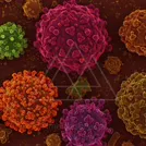 Colorful 3D render of multiple spherical cellular particles with surface projections against a dark background — 8K royalty-free microscopic stock photo