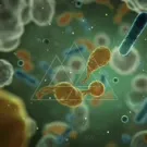 Artistically rendered microscopic scene showing tiny biological creatures in a cellular environment, drifting among circular cells and organelles, highlighting intracellular interactions and dynamic, colorful life at a micro scale — 2K royalty-free microscopic stock footage