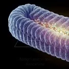 A high-resolution, artistic cross-section of a mitochondrion, revealing the wrinkled inner membrane (cristae) and glowing molecular machinery inside, illustrating energy production processes within a cellular powerhouse — 2K royalty-free microscopic stock footage