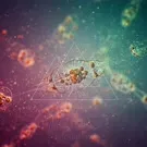 Color-enhanced view reveals a micro planktonic organism, showcasing delicate transparent membranes and colorful internal structures, surrounded by tiny particles and other cells in a dynamic, underwater microcosm — 2K royalty-free microscopic stock footage