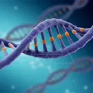 Dna — collection preview