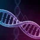 A vivid close-up of a twisting DNA double helix, illuminated in blue and magenta, illustrating genetic structure and the intricate, ladder-like pattern of nucleotides and bonds — 2K royalty-free microscopic stock footage