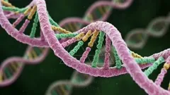 A vivid, close-up view of a double-helix DNA strand, with intertwined purple and teal twisted ribbons illustrating genetic material and molecular structure in a high-detail, cinematic micro-scale visualization — 4K royalty-free microscopic stock footage