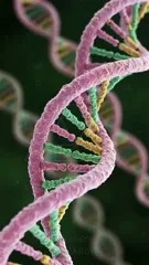 Close-up of a colorful DNA double helix, purple and teal strands entwined, showing textured backbone and rungs against a dark background, highlighting the intricate structure of genetic material — 4K royalty-free microscopic stock footage