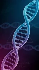 A vivid close-up of a twisting DNA double helix bathed in blue and purple light, highlighting the molecular structure, genetic code, and the intricate beauty of life’s blueprint — 4K royalty-free microscopic stock footage
