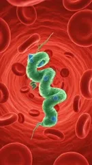 A close-up microscopic view of a green parasite twisting through a blood vessel, surrounded by red blood cells, showing blue nuclei and a coiled morphology — 4K royalty-free microscopic stock footage