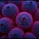 Macro shot of vivid purple-blue coral polyps with ribbed, donut-like discs and hollow centers, creating a striking, geometric underwater texture. Close-up patterning and symmetrical rings and tactile ridges — 2K royalty-free microscopic stock footage