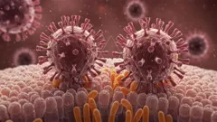 Close-up illustration of virus particles binding to a cell surface, with spike proteins extending from the viral envelope as they interact with membrane receptors, depicting early stages of viral infection — 4K royalty-free microscopic stock footage