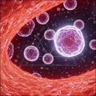 A vivid close-up inside a blood vessel showing circulating blood cells, with a glowing microscopic scene of purple cells against a red artery background and tiny specks of plasma — 2K royalty-free microscopic stock footage