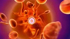 A vivid micrographic style scene of a glowing cell with a bright nucleus, surrounded by flowing orange-red plasma and floating blood cells in a dynamic cinematic view — 4K royalty-free microscopic stock footage