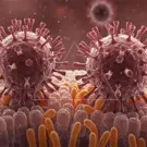 A close-up micrographic scene shows virus-like particles with spike projections approaching a cell layer, surrounded by diverse cellular structures and orange rod-shaped bacteria, illustrating microscopic interactions at the virus–cell interface — 2K royalty-free microscopic stock footage