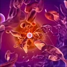 Vibrant microscopic artwork depicts a circular central cell surrounded by irregular red blood cells in a dynamic, swirling purple and orange environment, creating a vivid, abstract view of cellular motion — 2K royalty-free microscopic stock footage
