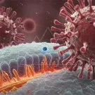 A high magnification scene of a cell membrane with a blue nucleus-like particle, surrounded by spiky viral structures and orange filaments, illustrating cellular entry and molecular interactions — 2K royalty-free microscopic stock footage