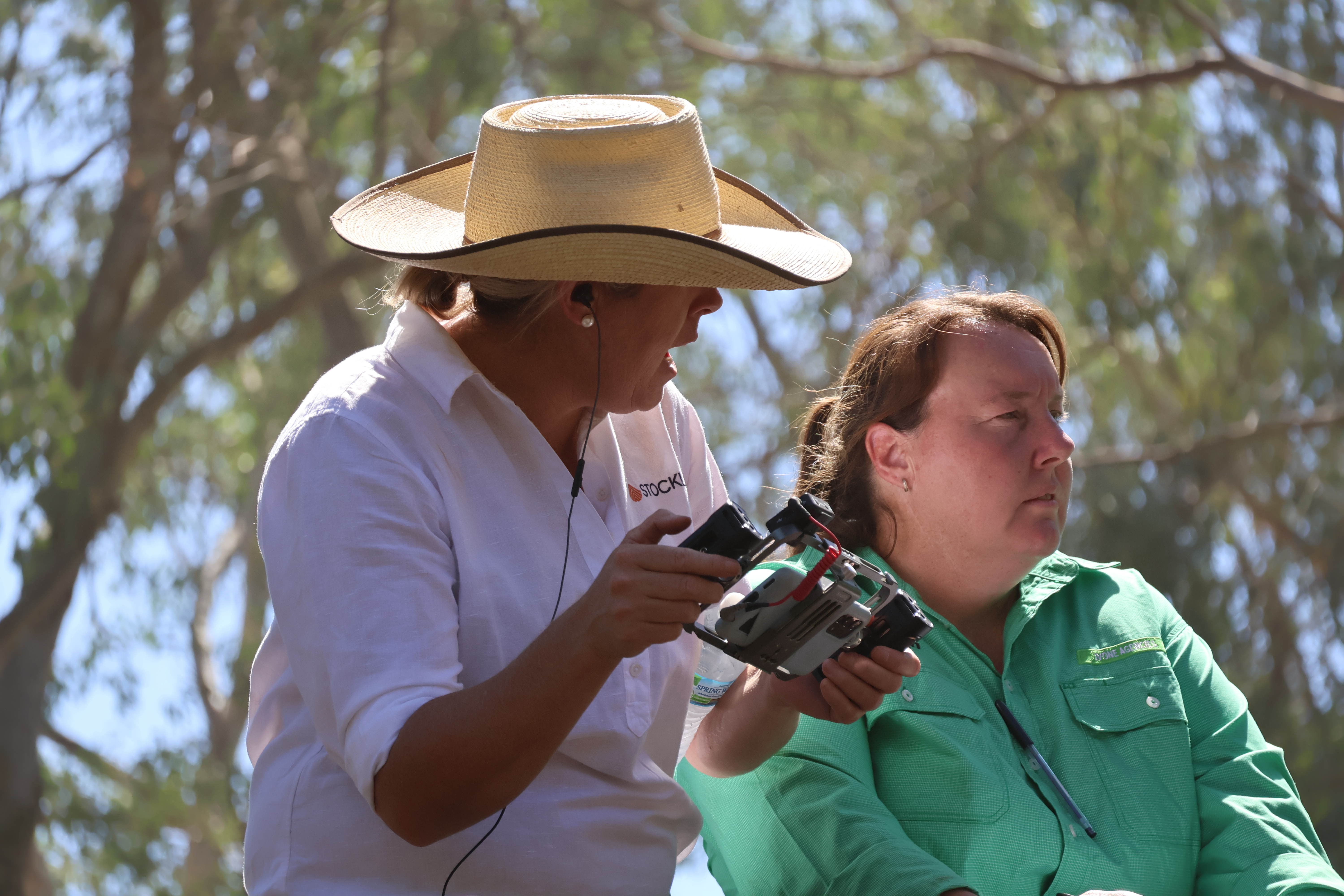 auctioneer and stocklive staff in saleyard