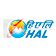 Hindustan Aeronautics share price