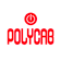 Polycab India share price