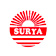 Surya Roshni share price