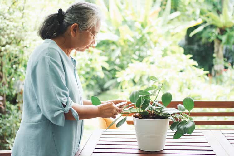 A mentally healthy senior woman tends to a potted plant.