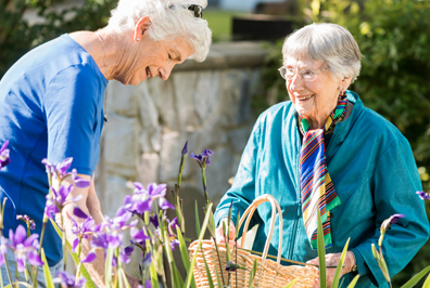 The 8 Dimensions of Wellness | StoneRidge Senior Living