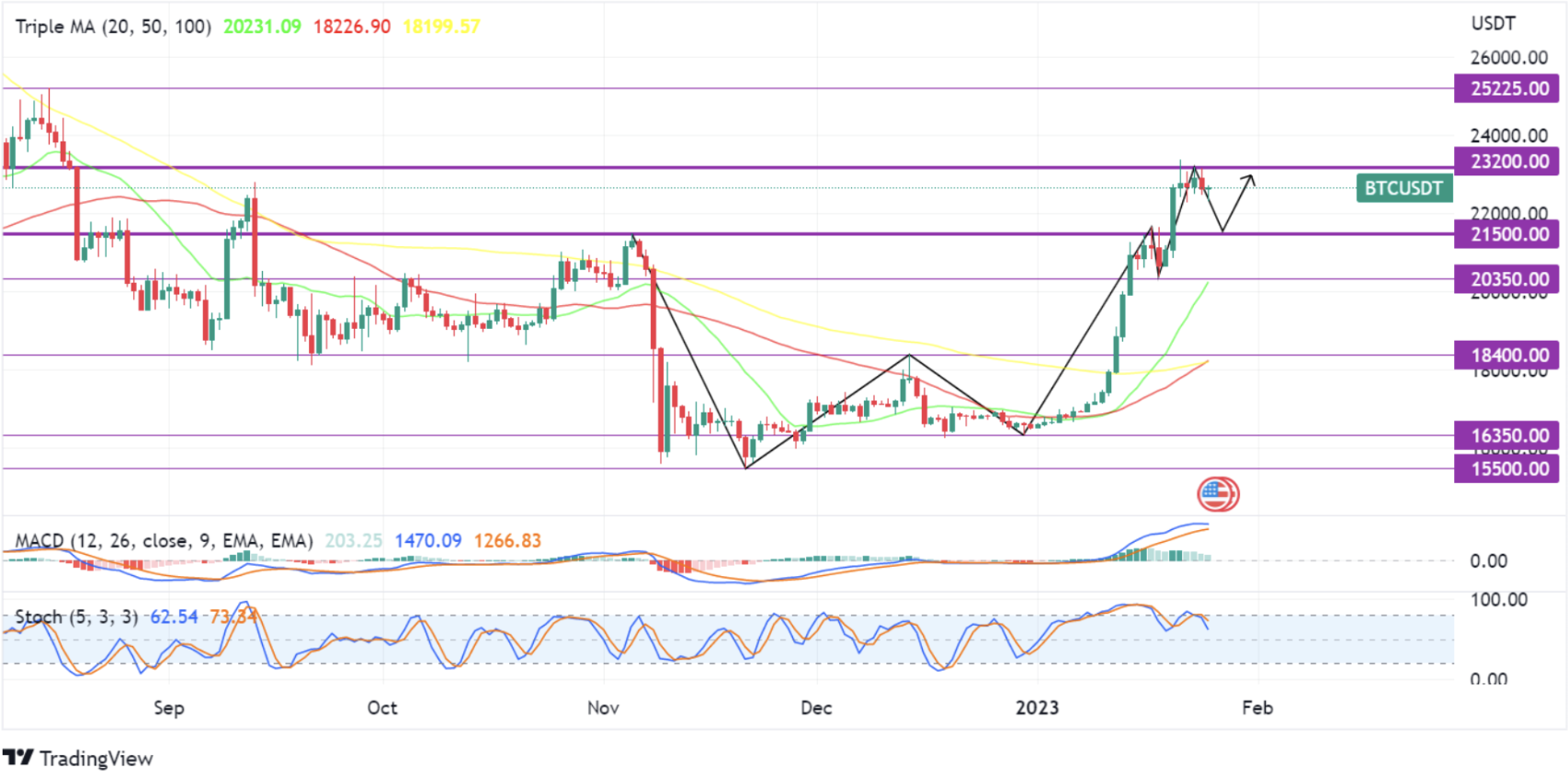 Grafik Bitcoin 25 Januari 2023