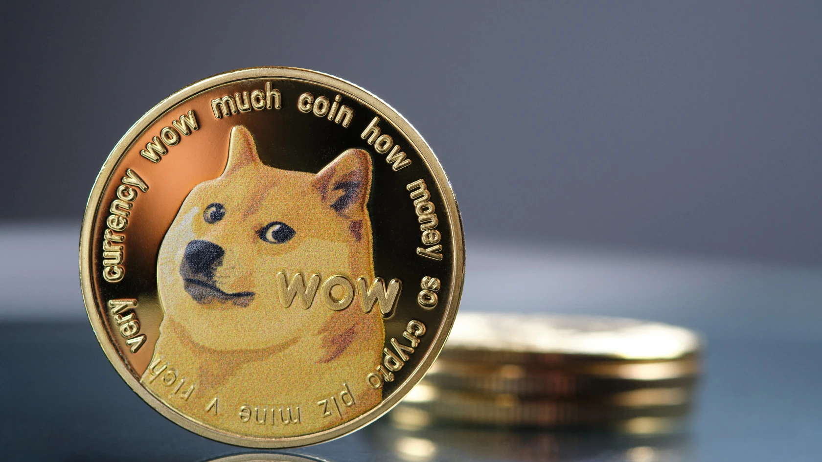 Menilik ﻿Potensi Harga Buff Dogecoin