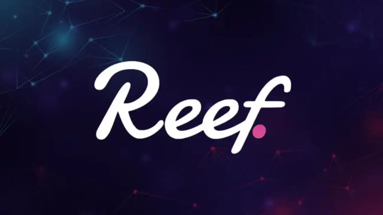 reef-coin