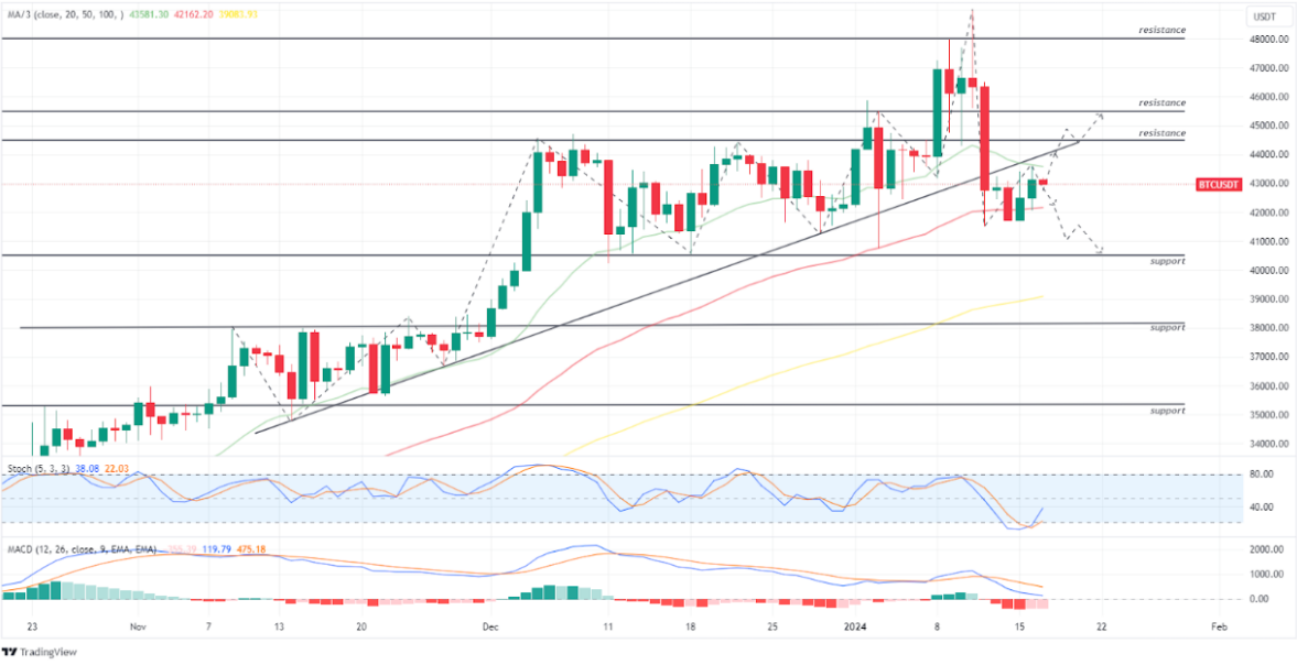 BTC USDT 17 Januari 2024