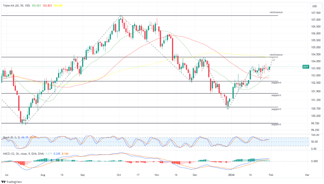 US Dollar Index 31 jan 2024