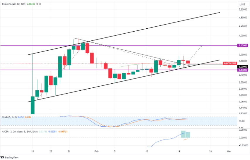 Manta Network 21 feb 2024