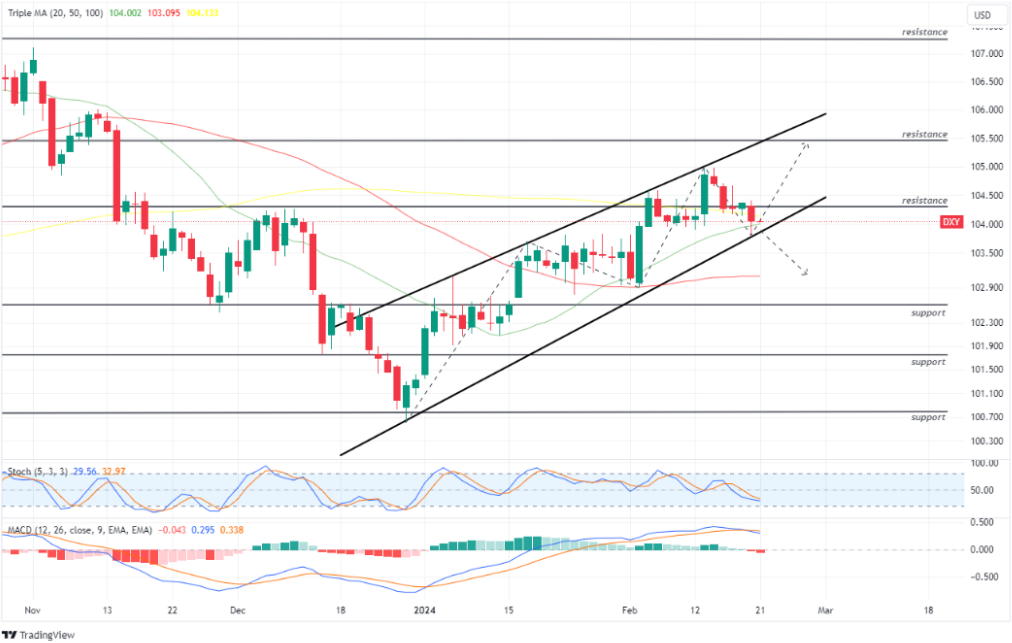 US Dollar Index 21 feb 2024