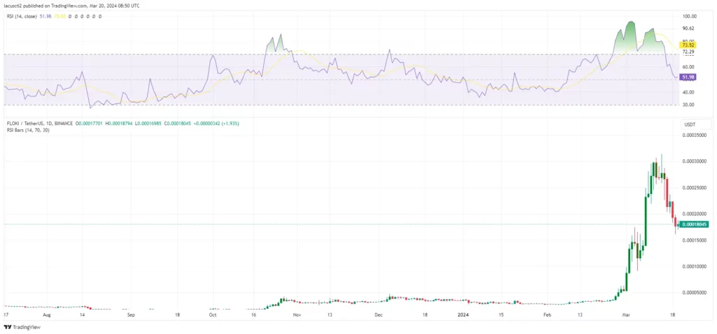 Floki RSI 2024 - Tradingview