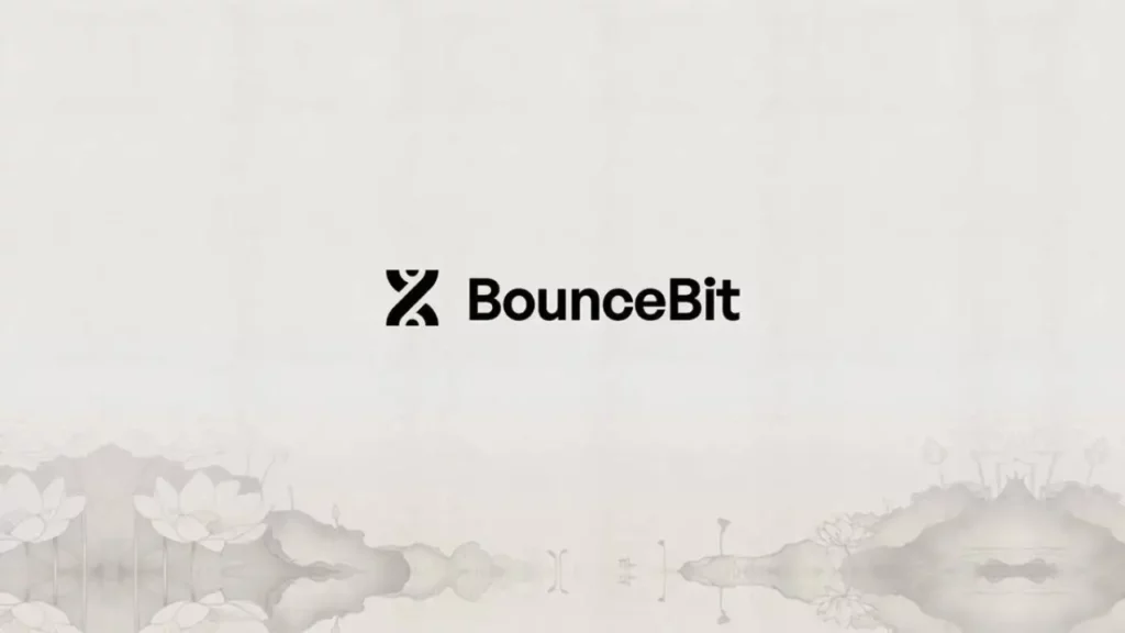 bouncebit
