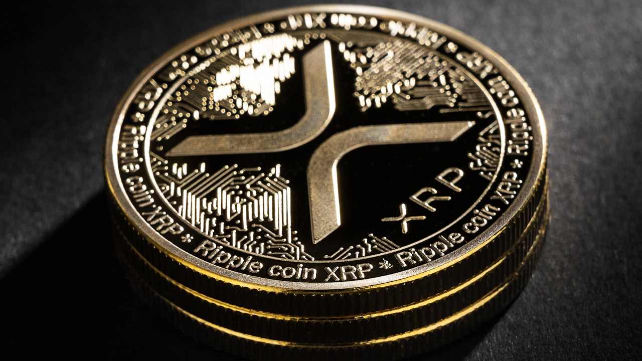 Elon Musk dan Prediksi Kenaikan Harga XRP: Apakah Kerjasama dengan Ripple Akan Terjadi?