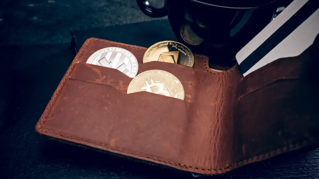 dompet-stablecoin