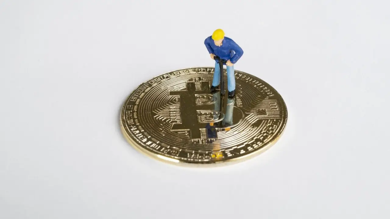 token-terminal