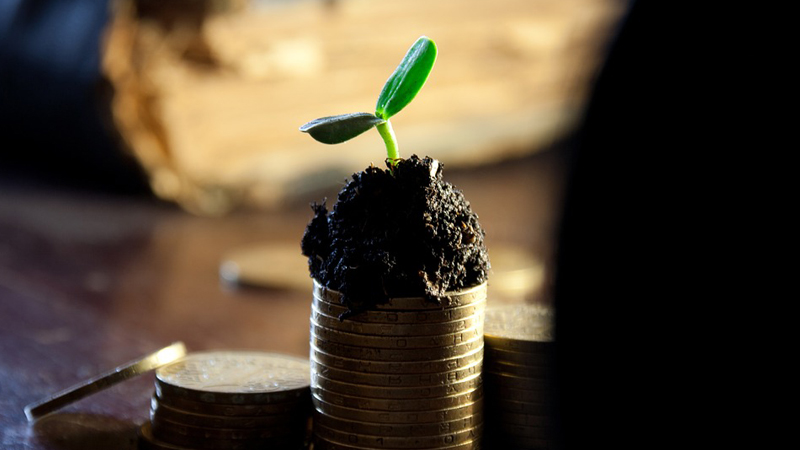 Reksa Dana Penyertaan Terbatas: Cocok untuk Pemodal Besar?