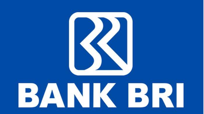 cara investasi saham di bank bri