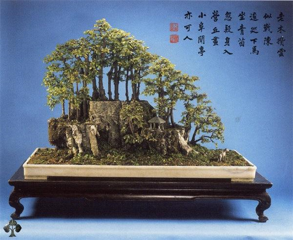 bonsai penjing