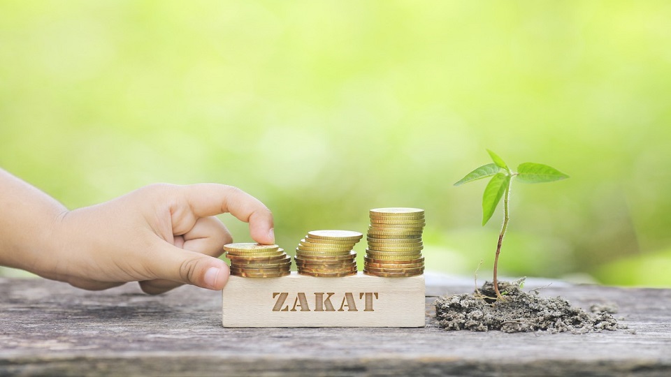 zakat profesi