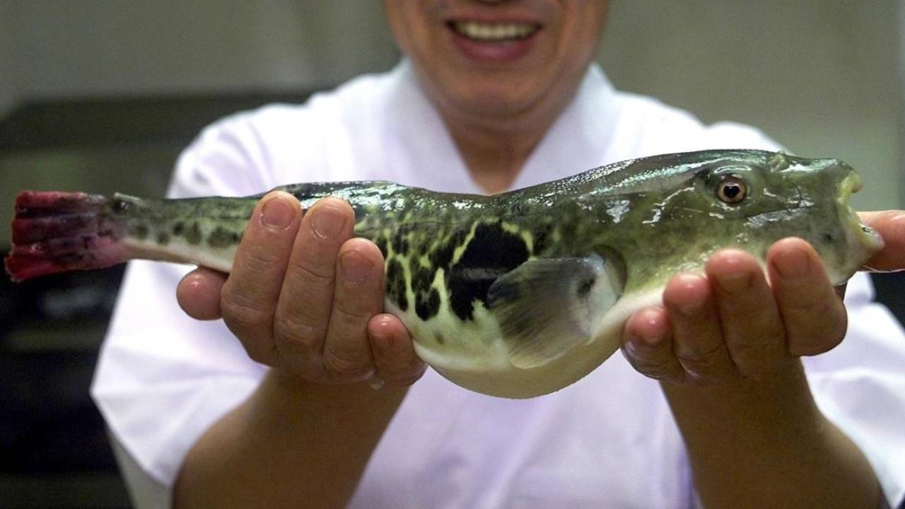 Makanan Jepang Termahal