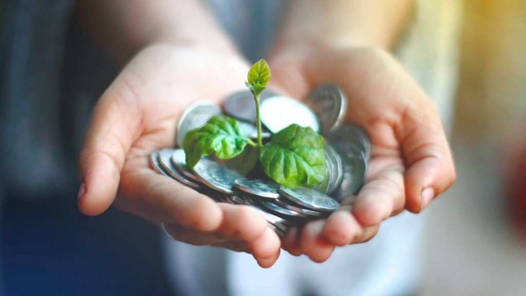 Mengenal Redemption dalam Dunia Investasi Ajaib